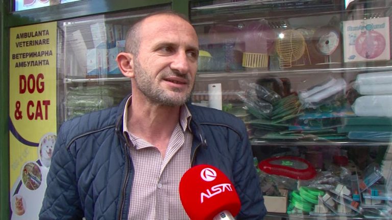 Qentë endacak vërshojnë Tetovën, rrezikojnë qytetarët
