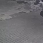 340650708_774877760629027_6448799402865780925_n-696×385