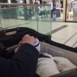 IMG_20250122_193808